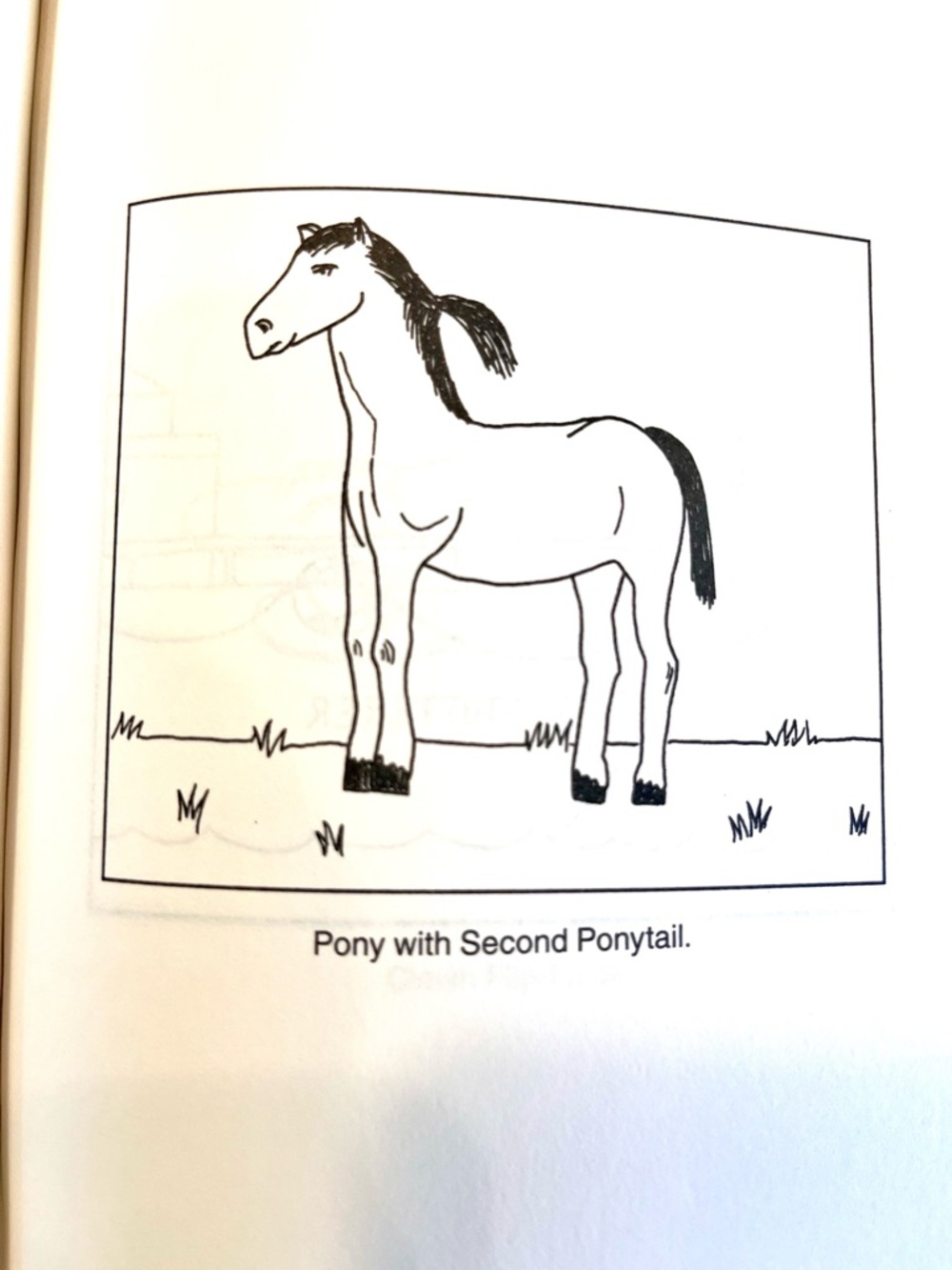Demetri Martin 'This Is a Book' — hardcover humorous comedy book - Picture 7 of 9